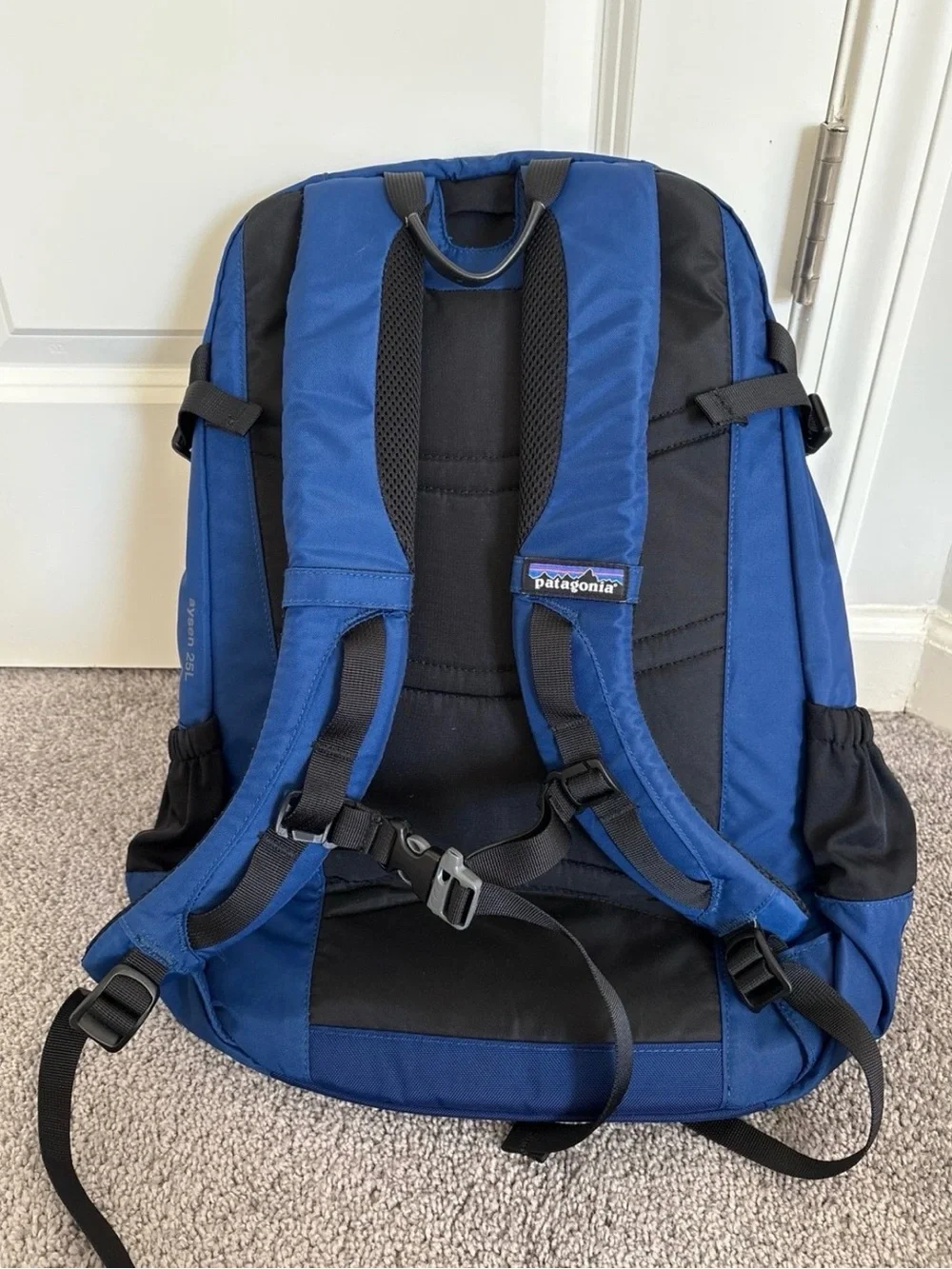 Patagonia Aysen 25L Over Should Backpack